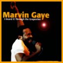 Marvin Gaye Vs. Dr Packer - Heard It Through The Grapevine