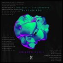 CamelPhat feat. Leo Stannard - Blackbirds (Krieger Remix)