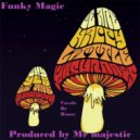 Mr Majestic - Funky Magic