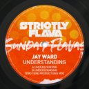 Jay Ward - Understanding