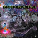 Sharigrama - Contact (Original Mix)