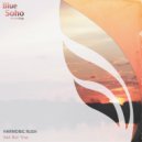 Harmonic Rush - Sad But True (Radio Edit)