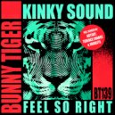 Kinky Sound - Feel So Right
