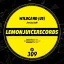 Wildcard (US) - Penthouse