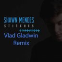 Shawn Mendes - Stitches