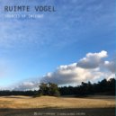 Ruimte Vogel - Insight (Original Mix)