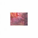 Mindfulness Healing BGM Project - Expression and Refresh