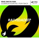 Israel Simcha Haim - Push It Back
