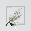 Pineland - Ttopic (Original Mix)