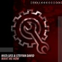 Nico Luss & Steffan David - Want Me Now