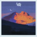 qdp - flash of light