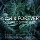 Dominik Jesz & Heela - Now & Forever (Instrumental Version)