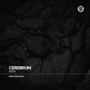 FXTR - Occipital