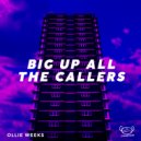 Ollie Weeks - Big Up All The Callers