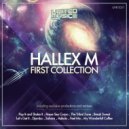 Para People, Gari Sinedima - Pendukeny (Hallex M Remix)