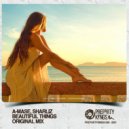 A-Mase, Sharliz - Beautiful Things