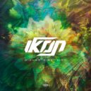 IKØN - Higher Dimension
