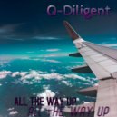 Q-Diligent - Proceed With Caution