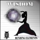 Wisdom - Groove Maestro (Original Mix)
