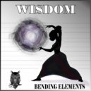 Wisdom - More to Our Story