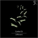 Carles DJ - Different World (Original Mix)