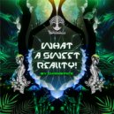 DarkSpice - Reality Check