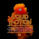 Fluid Form - Mansions on the Moon