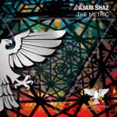 Ajam Shaz - The Metric
