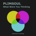 Plimsoul - What Were You Thinking (Edit)