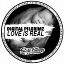 Digital Pilgrimz - Love Is Real
