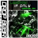 Leeroy - If Only