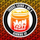Trudos Sound & MC K - Burning Up