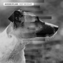 Jackson Ryland - At This Pace (Original Mix)
