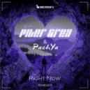 PITER GREY & PachYa - Right Now (D-Tune Remix)