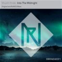 Shuichi Endo - Into the Midnight