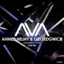 Ahmed Helmy & Gid Sedgwick - Exploited Lover