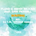 Flund & Mehdi Belkadi feat. Dan Picknell - Waiting