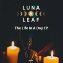 Luna & Leaf - Nightime