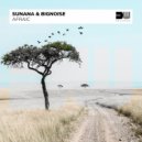 SUNANA & BigNoise - Afraic (Extended Mix)