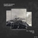Evgeniy Nuzhnov - Saraswati