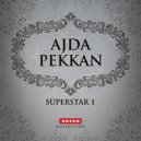 Ajda Pekkan - Anlamadım Gitti