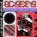 Scaefa - Proof Copy (Original Mix)