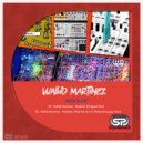 Walid Martinez - Modular (Thab De Soul\'s Winter-Xchanger Mix)