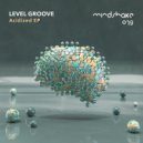 Level Groove - Droooop