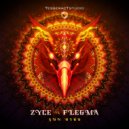 Zyce vs Flegma - Sun Bird