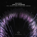 Wolfson - Ups & Downs