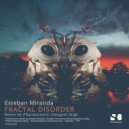 Esteban Miranda - Fractal Disorder
