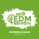 Hard EDM Workout - Watermelon Sugar (Workout Mix Edit 140 bpm)