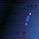 V.A.T - What Follows Madness