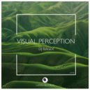 DJ Ragex - Visual Perception